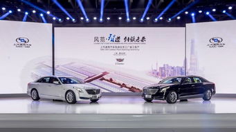 潤(rùn)華凱迪高新店 引領(lǐng)卓越汽車銷售服務(wù)